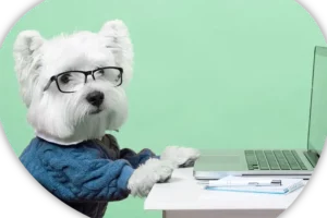 Centro Especialidades Veterinarias ArkaVet