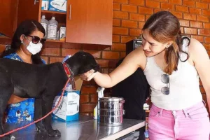 Centro veterinario Emma