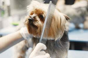 Centro Veterinario & Peluquería Estética Canina y Felina La Madrileña