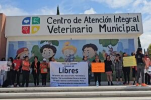 Centro Veterinario Proanimal