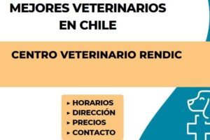 Centro veterinario Rendic