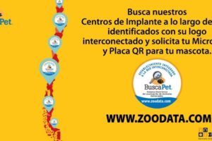 Centro Veterinario Zoodata