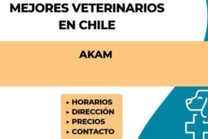 Clinica Veterinaria AKAM