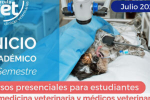 Clínica Veterinaria Antupirén