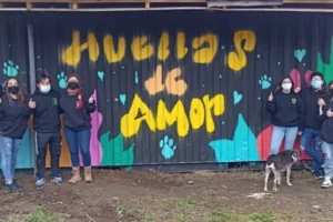 Clínica Veterinaria Arauco