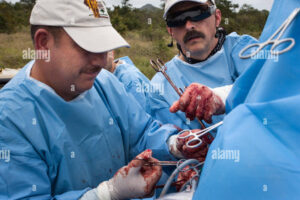 Clínica Veterinaria Ariaka Vet Care SPA.