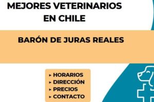 Clinica Veterinaria Barón De Juras Reales