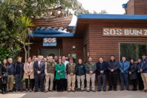 Clinica Veterinaria Buin