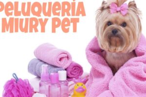 CLINICA VETERINARIA C – VET (CURACAVI)