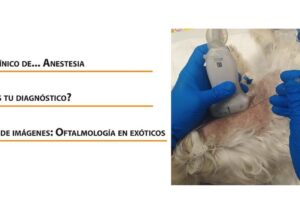 Clínica Veterinaria Camino a Sión