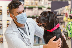 Clínica Veterinaria Carol Pets