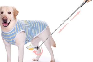 Clínica veterinaria Catcher