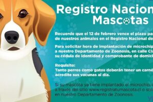 Clínica Veterinaria Clavero vet