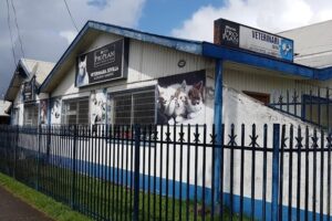 Clinica Veterinaria CVES