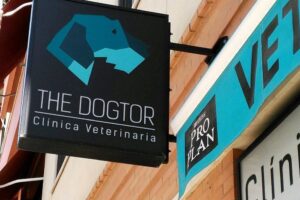 Clínica Veterinaria Dogtor