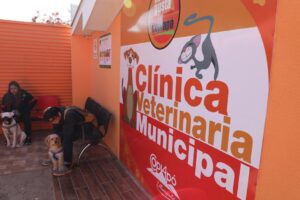 Clinica Veterinaria Dr. Nestor Altamirano Rosso Empresa Individual De Responsabi