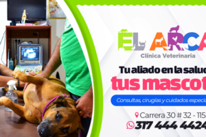 Clínica Veterinaria El Arca