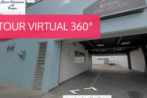 Clínica Veterinaria El Bosque