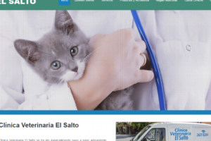 Clínica Veterinaria el Salto