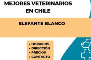 Clínica Veterinaria Elefante Blanco