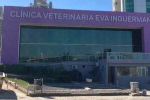 Clínica Veterinaria «Entre Perros y Gatos»