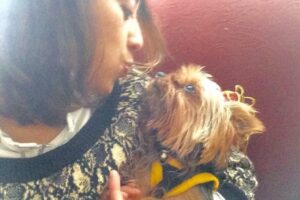 Clínica Veterinaria Full Animals