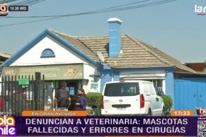 Clínica Veterinaria Gran Avenida