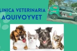 Clínica Veterinaria HELKEKURA
