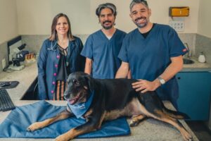 Clinica Veterinaria Integramedvet