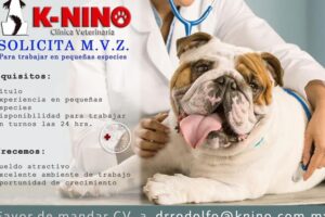 Clínica Veterinaria K-Nino