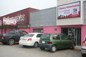 Clínica Veterinaria la Rotonda