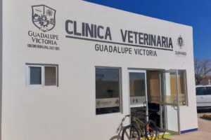 Clinica Veterinaria Laguna Sur