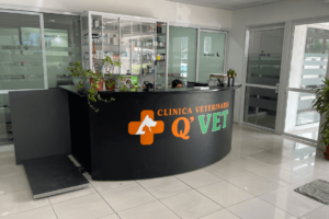 Clínica Veterinaria MásQueVet