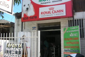 Clínica Veterinaria Montvet