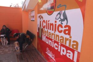 Clínica Veterinaria Municipal Puente Alto