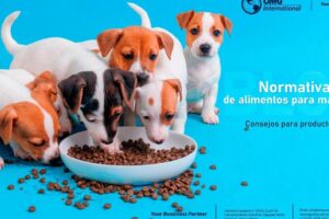 Clinica Veterinaria N&Q Pets