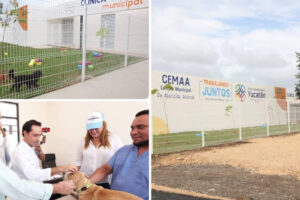 Clinica Veterinaria Nueva Poniente