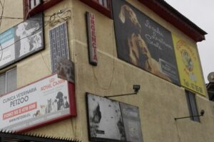 Clínica Veterinaria Petzoo