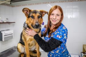 Clinica Veterinaria Plaza San Enrique Limitada