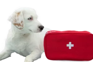 Clínica Veterinaria Pravet