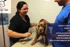 Clínica Veterinaria Puppies