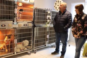 Clinica Veterinaria Quintero Mascotas