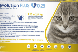 Clinica Veterinaria Revolution Pet 2