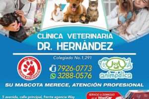 Clinica Veterinaria San Benito