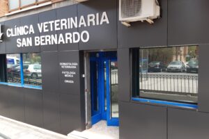 Clínica Veterinaria San Bernardo