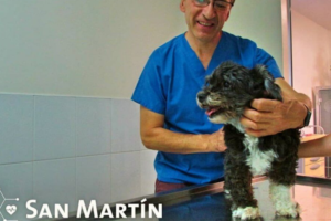 Clínica Veterinaria San Martín – La Florida