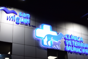 Clínica Veterinaria San Miguel