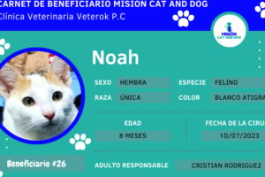 Clínica Veterinaria Sr. Bigotes