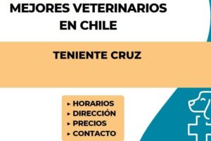 Clínica Veterinaria Teniente Cruz