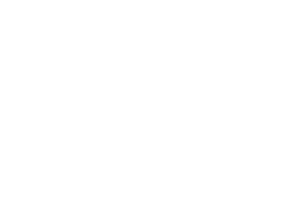 Clínica Veterinaria The Cool Dogs Vet